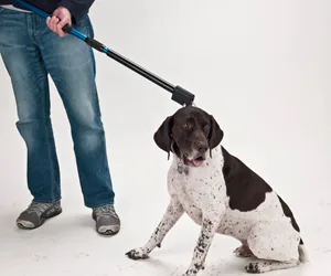 Dual Release Catch Pole