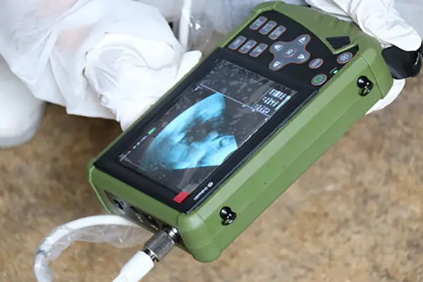 Best Handheld Veterinary Ultrasound Diagnosis and Pregnancy Monitoring Machine for Pigs, Sheep, and Dogs