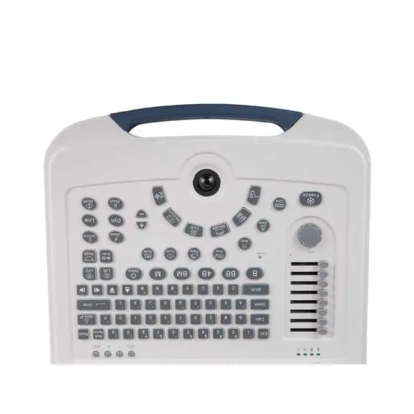 Basic Laptop Full Digital Veterinary Ultrasound System