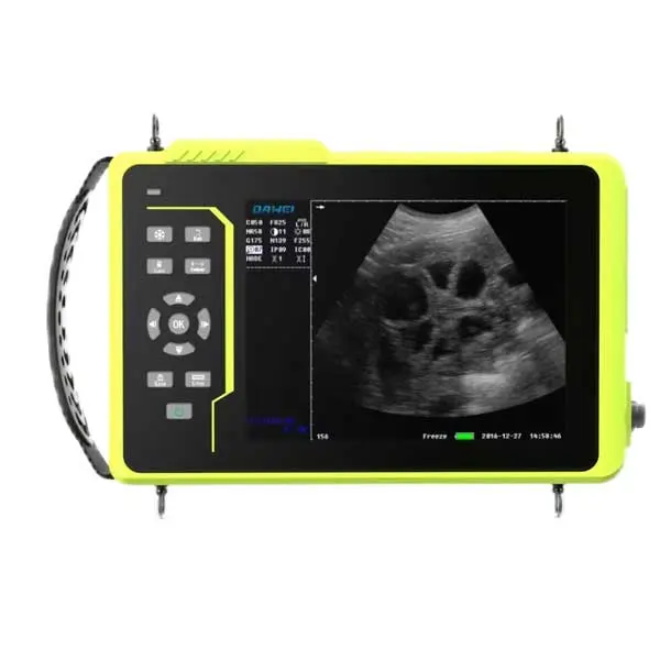 Waterproofing Handheld Cattle Equine Portable Vet Ultrasound Machine Device