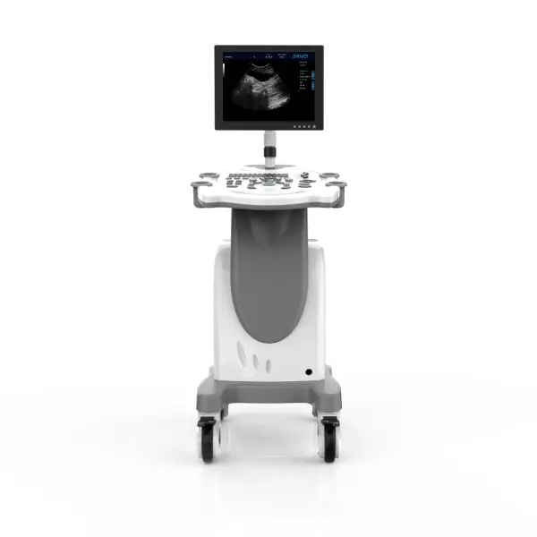 Pc Platform Trolley Full Digital Veterinary Ultrasound Diagnostic System