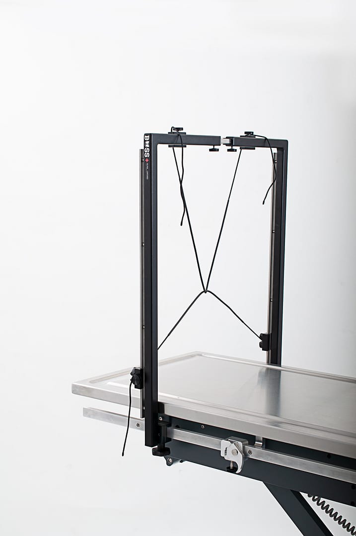 BOSS+ Brachycephalic and Oropharyngeal Surgical Stand + #10